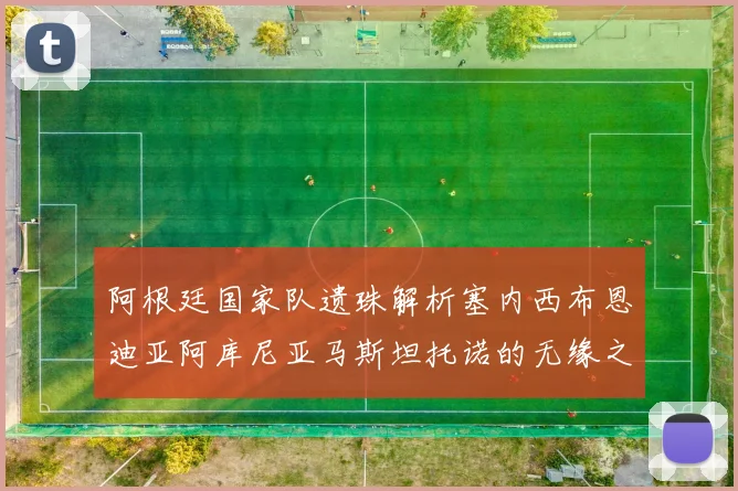 阿根廷国家队遗珠解析塞内西布恩迪亚阿库尼亚马斯坦托诺的无缘之路