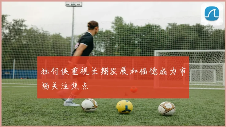 独行侠重视长期发展加福德成为市场关注焦点