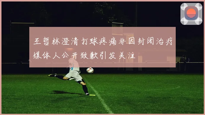 王哲林澄清打球疼痛非因封闭治疗媒体人公开致歉引发关注