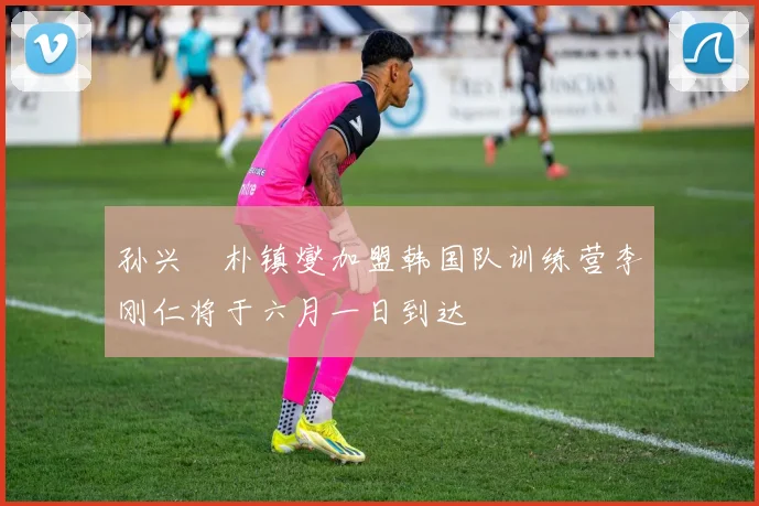 孙兴慜朴镇燮加盟韩国队训练营李刚仁将于六月一日到达
