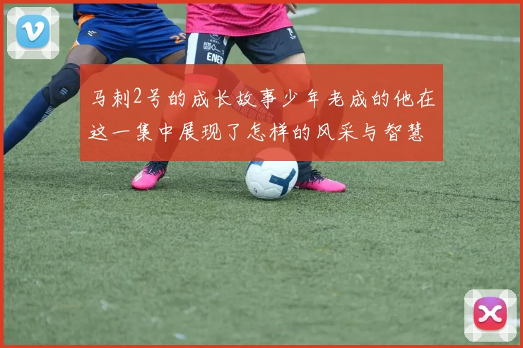 马刺2号的成长故事少年老成的他在这一集中展现了怎样的风采与智慧